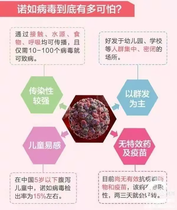 诺如病毒预防知识